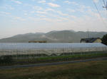 resize3526.jpg