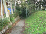 resize3529.jpg