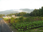 resize3532.jpg