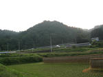 resize3546.jpg