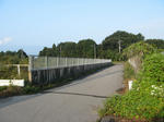 resize3548.jpg