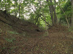 resize3577.jpg
