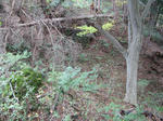 resize3576.jpg