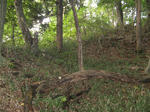 resize3559.jpg
