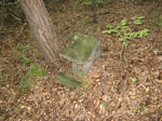 resize3569.jpg