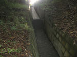 resize3550.jpg