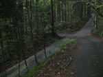 resize3582.jpg