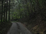 resize3584.jpg