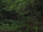 resize3585.jpg