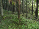 resize3588.jpg