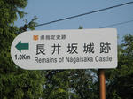 resize3594.jpg