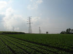 resize3595.jpg