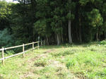 resize3596.jpg