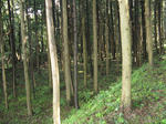 resize3599.jpg