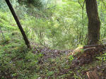 resize3602.jpg