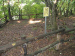 resize3612.jpg