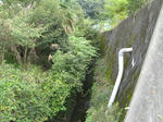 resize3710.jpg