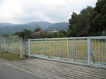 resize3711.jpg