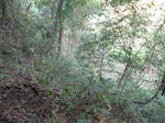 resize3660.jpg