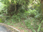 resize3703.jpg