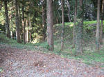 resize3721.jpg