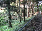 resize3727.jpg