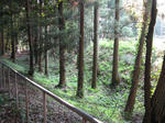 resize3728.jpg