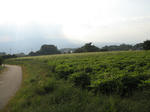 resize3744.jpg