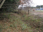 resize3907.jpg