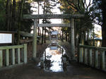 resize4012.jpg
