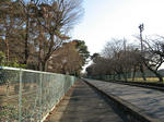 resize4017.jpg