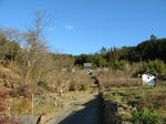 resize4156.jpg