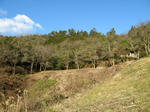 resize4157.jpg