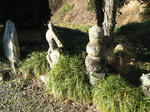 resize4166.jpg