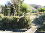 resize4235.jpg