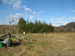 resize4237.jpg