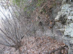 resize4198.jpg