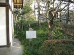 resize4287.jpg