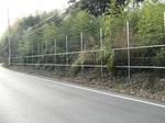 resize4315.jpg