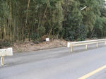 resize4319.jpg