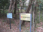 resize4324.jpg