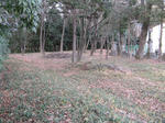 resize4333.jpg