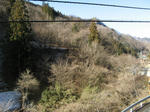 resize4410.jpg