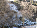 resize4411.jpg