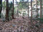 9159bb0f.jpg