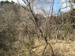 resize4438.jpg