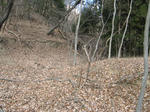 resize4454.jpg