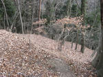 resize4462.jpg