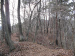 resize4478.jpg
