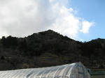 resize4503.jpg